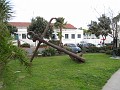 Carpinteria California 2010-02 0400